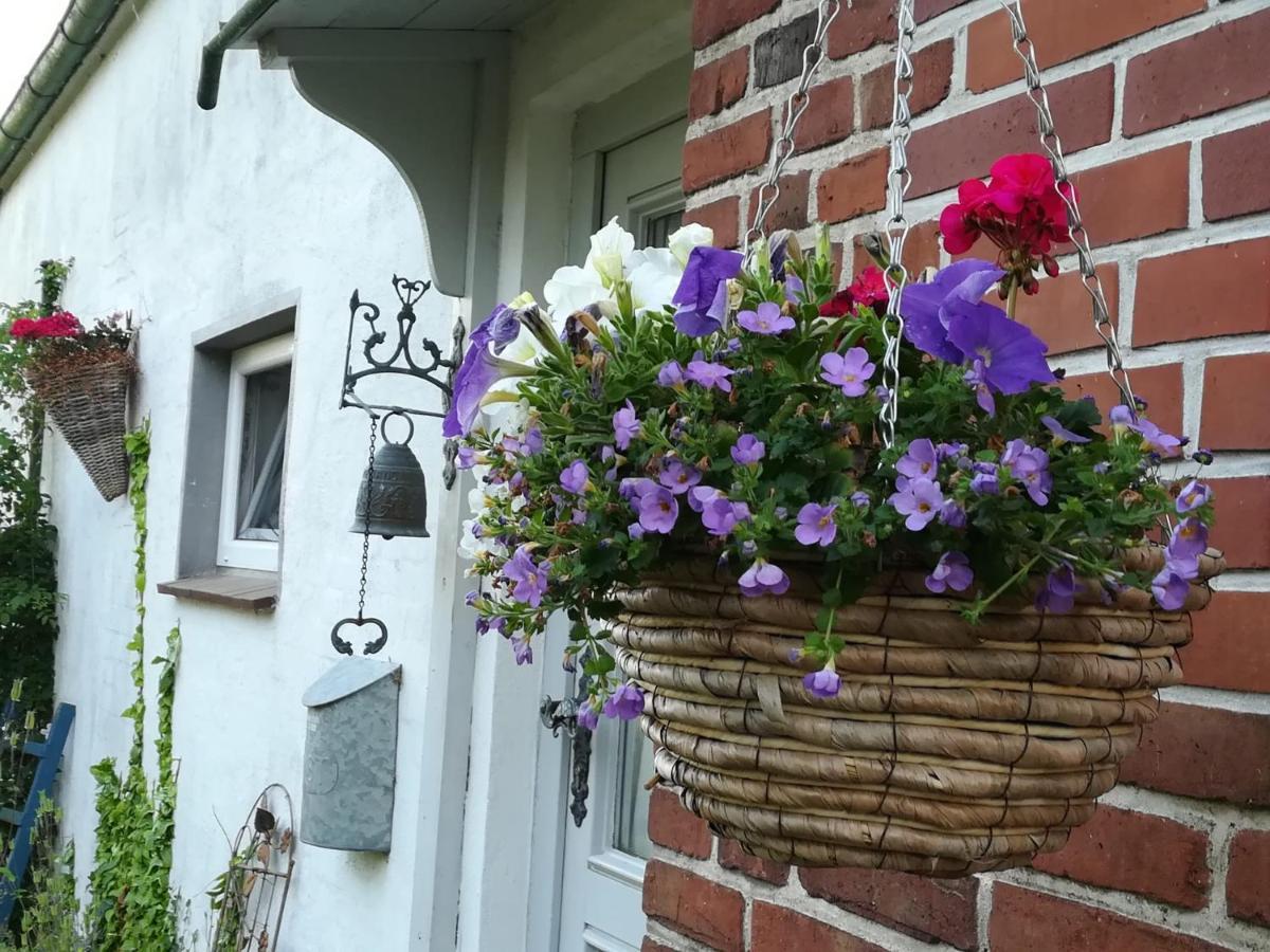 Ferienwohnung Brodersen Boren Esterno foto